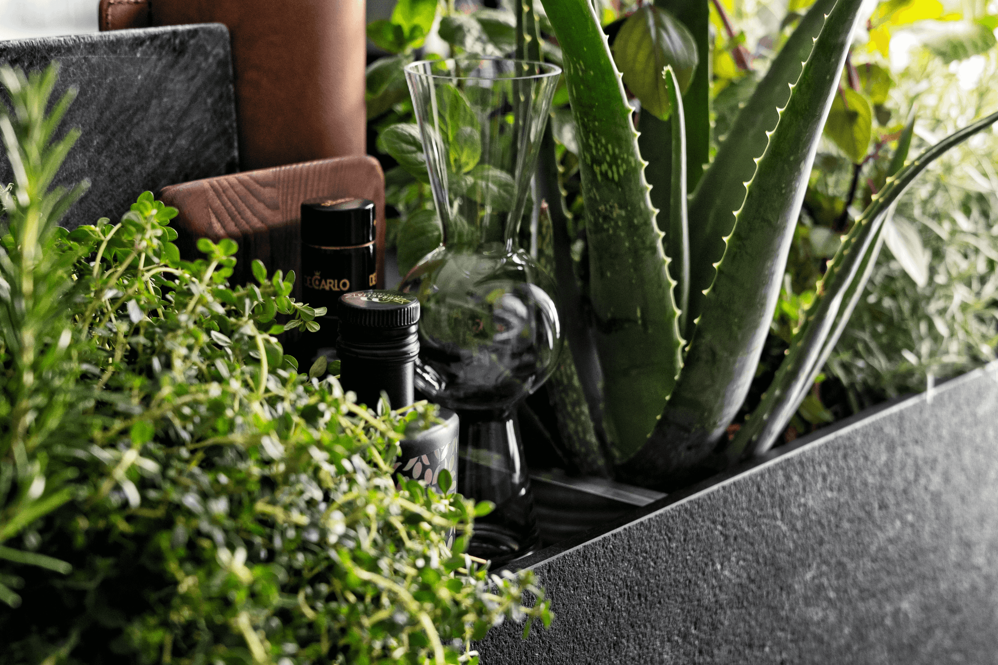 Where Urban Living and Nature Coexist